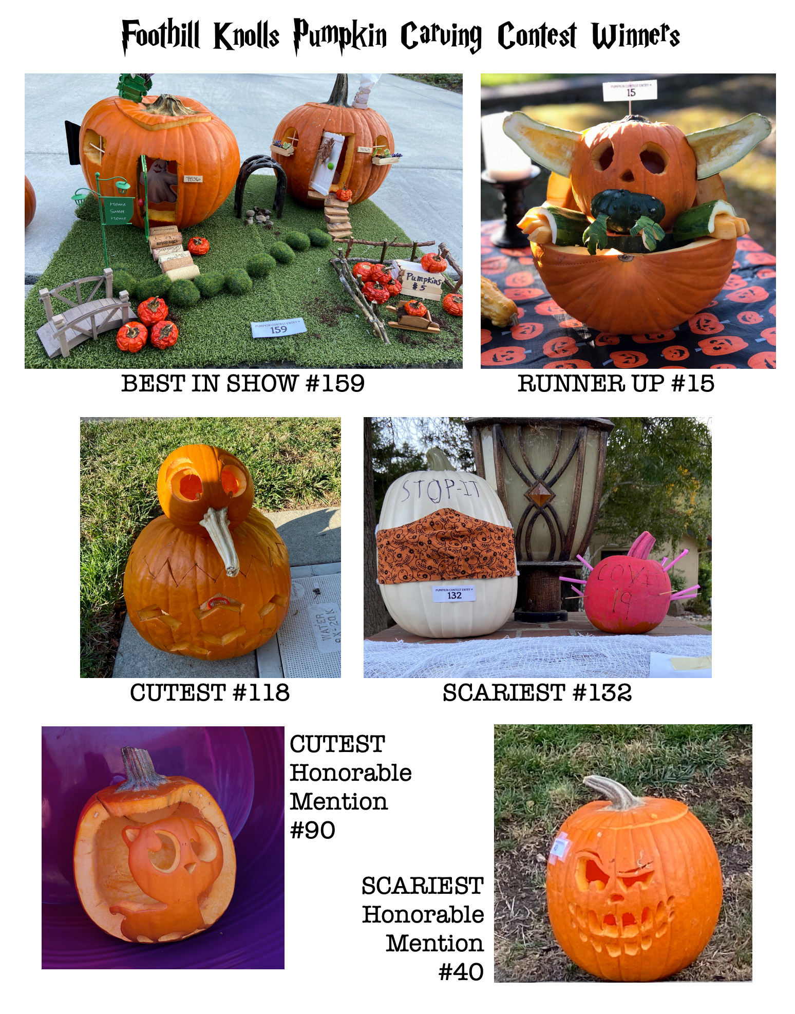 Foothill Knolls Pumpkin Contest Winners 2020